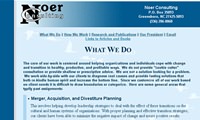 Noer Consulting