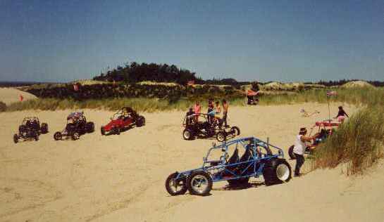 group of buggies on a sunny day